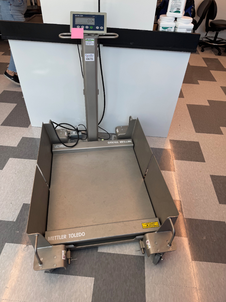 Image of Mettler Toledo Floor Scale